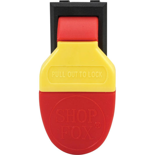 Paddle Switch 125V/250V