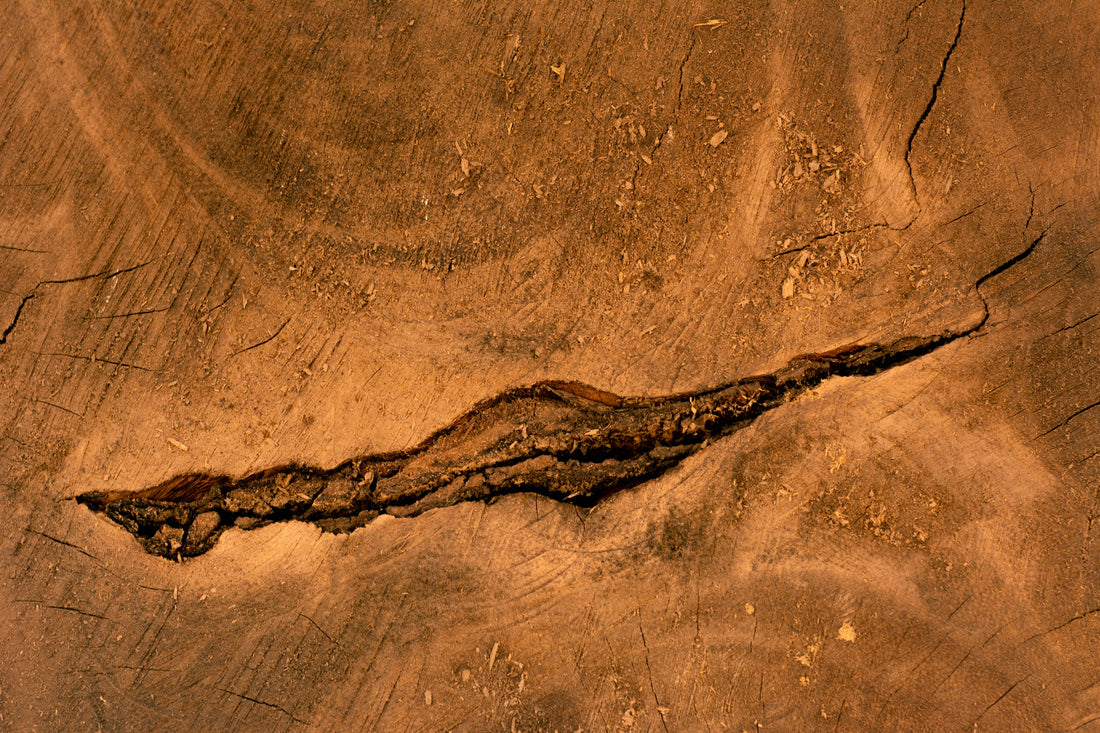 Wood Spec Secrets: The Woodworker’s Guide to Technical Data