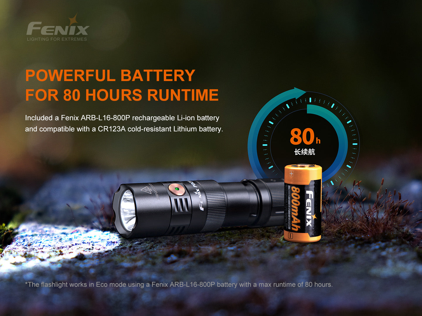 Fenix PD25R Rechargeable LED Flashlight - Norfolk Wood Shop