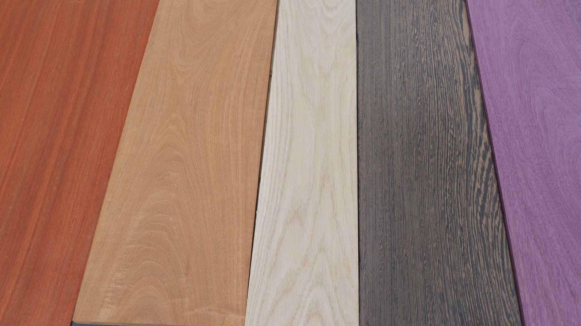 PX|12 Quadtec: II Planer - Norfolk Wood Shop