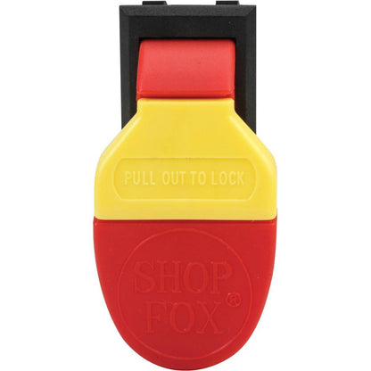 Paddle Switch 125V/250V
