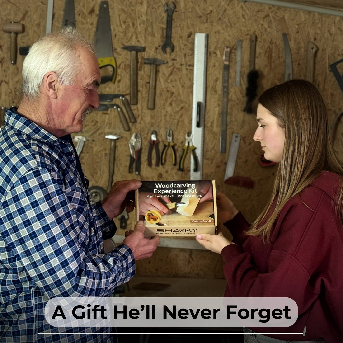 DIY Horse Wood Carving & Painting Kit