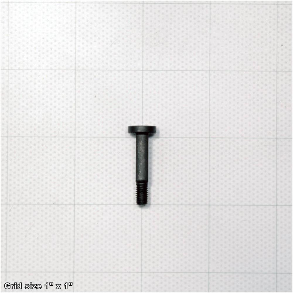 BLADE GUARD LOCK LEVER SCREW