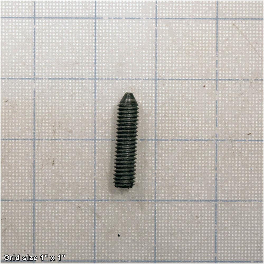 FENCE HINGE SCREW