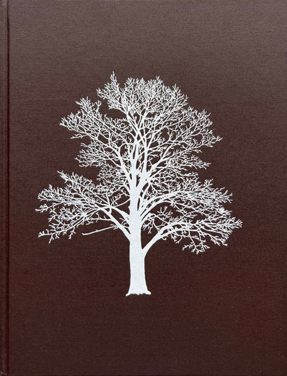 With the Grain: A Craftsman’s Guide to Understanding Wood